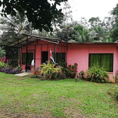 Siqurres Da Alegria Paraiso Verde מראה חיצוני תמונה