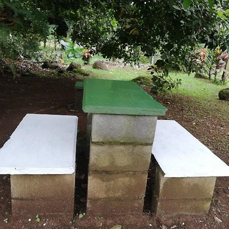 Siqurres Da Alegria Paraiso Verde מראה חיצוני תמונה